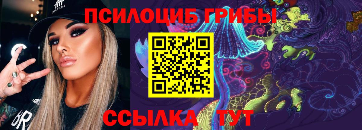 Псилоцибиновые грибы Psilocybe Лесосибирск